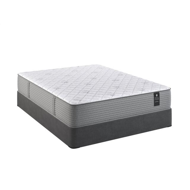 Anniversary Firm Mattress by Scott Living