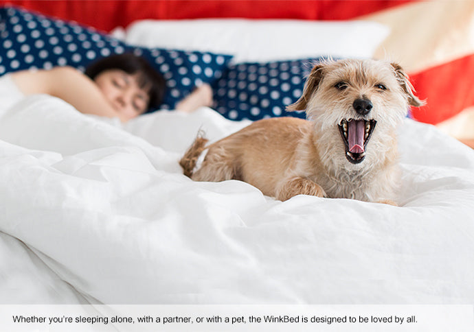 White Soft Mattress by WinkBeds