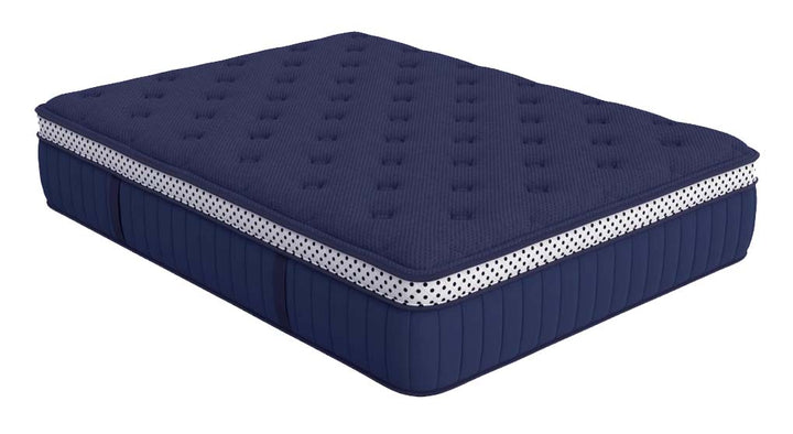 WinkBeds® Blue Collection Series One Mattress